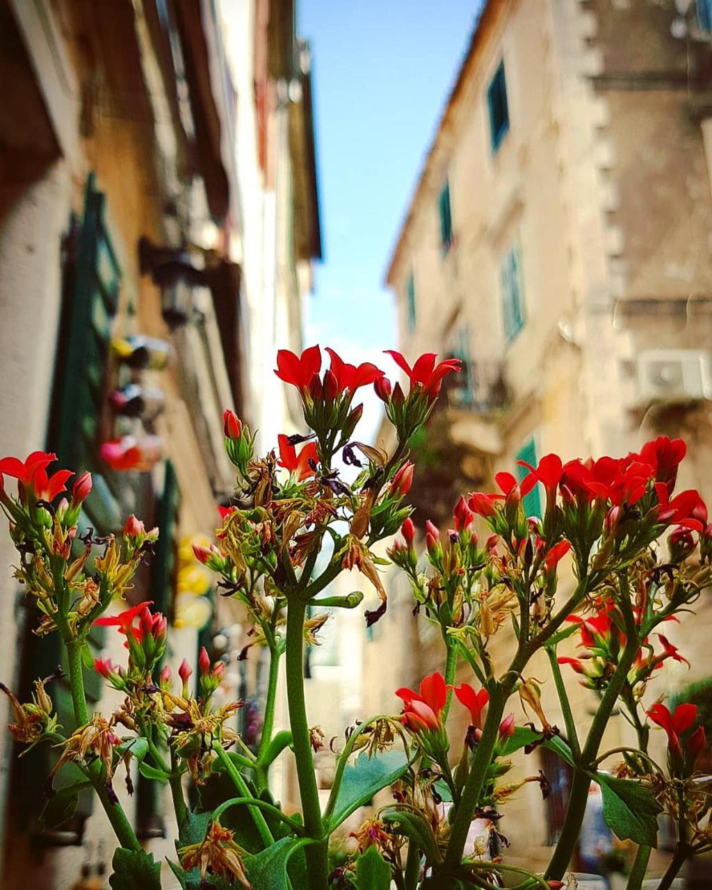 Kotor Bagus - Cozy Boutique Old Town Studio With Seaview Terrace Extérieur photo